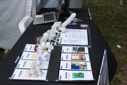 3D printed anatomical display wall