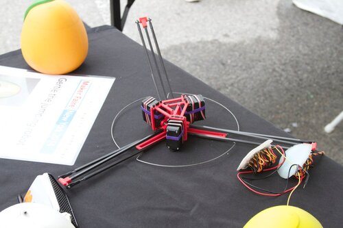 Gertie the jumping robot