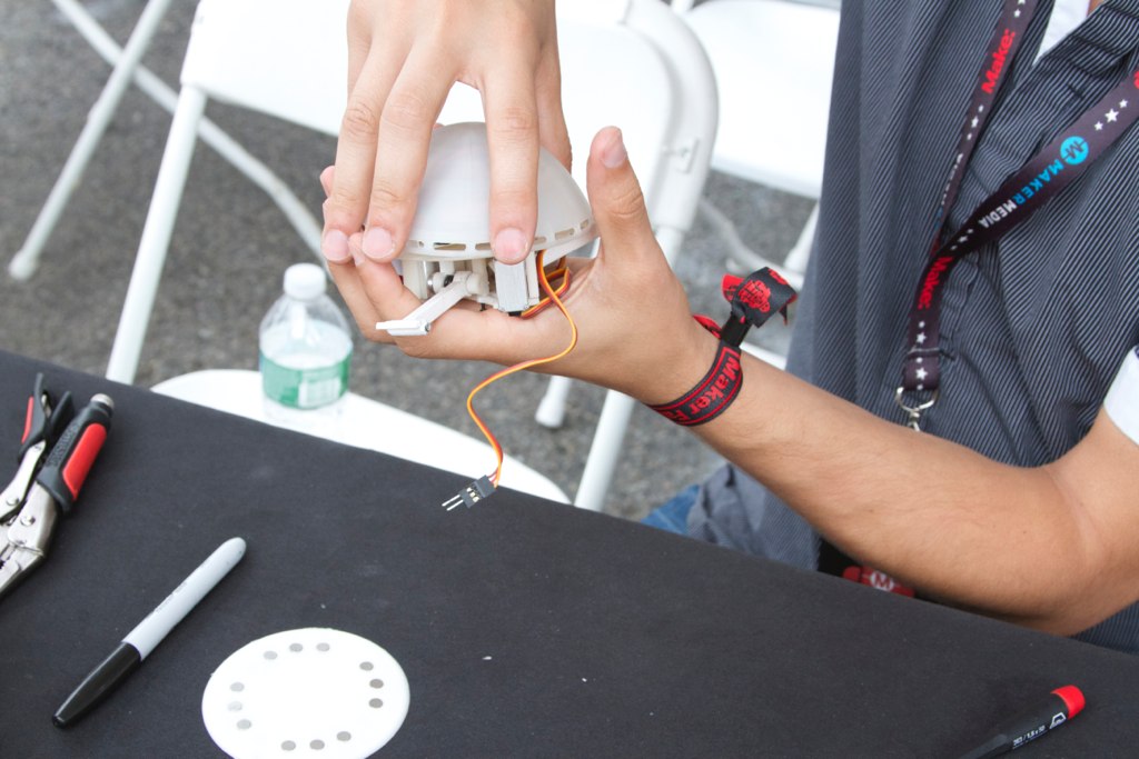 Gertie the jumping robot