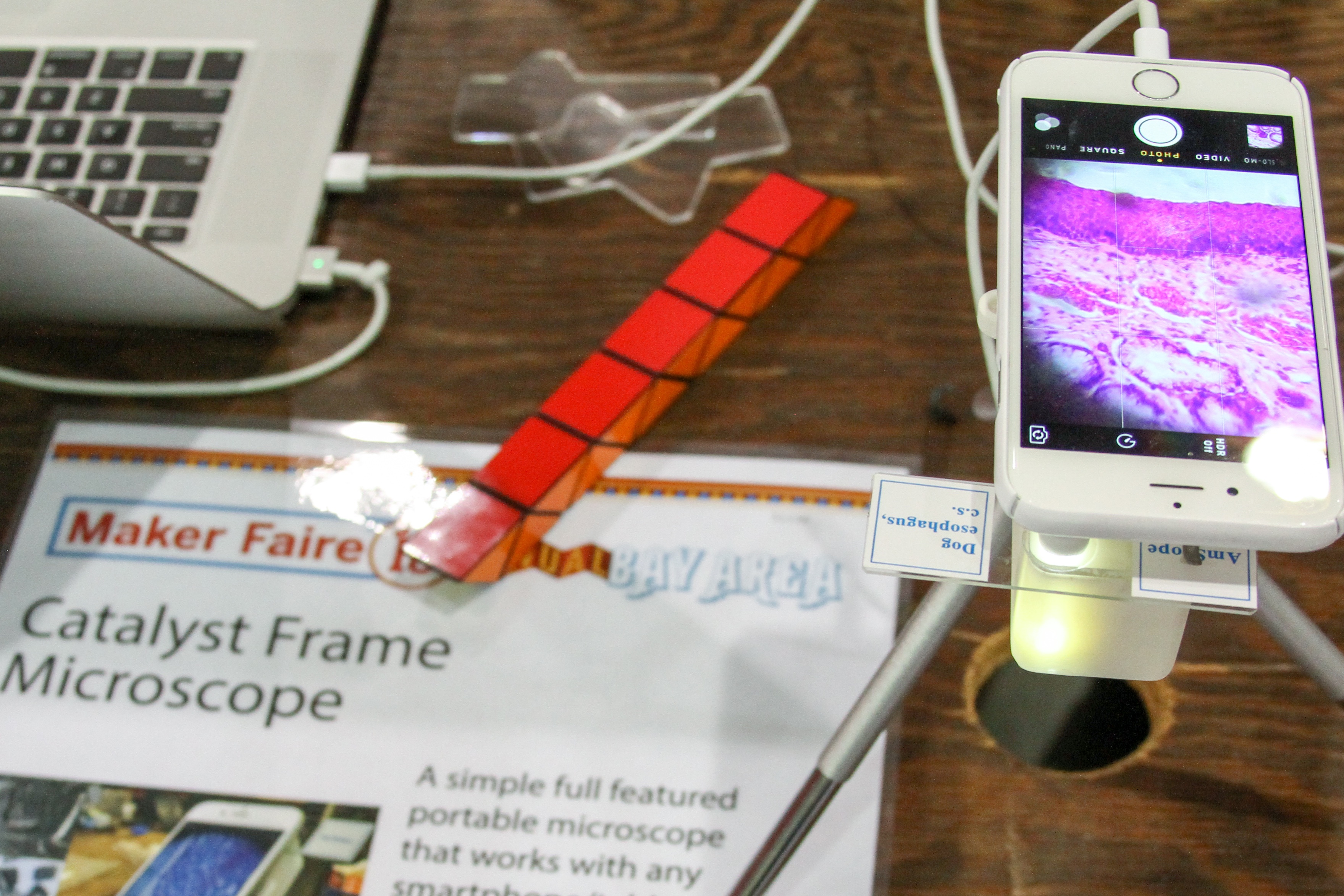 Catalyst Frame Microscope